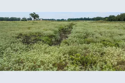 460 Cr 313, Rockdale, TX 76567 - Photo 16