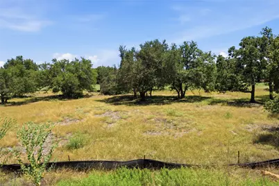 413 Lightning Ranch Road, Georgetown, TX 78628 - Photo 8