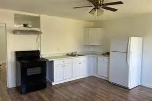 211 W Washington St, Seguin, TX 78155 - Photo 4