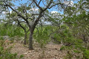 816 Buttercup Ln, Wimberley, TX 78676 - Photo 36