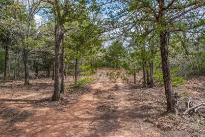 Tbd Edgewood Trail, Paige, TX 78659 - Photo 6
