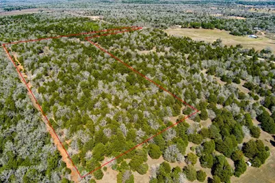 Tbd Edgewood Trail, Paige, TX 78659 - Photo 8