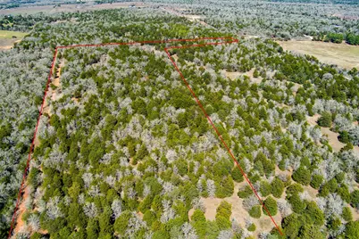 Tbd Edgewood Trail, Paige, TX 78659 - Photo 2