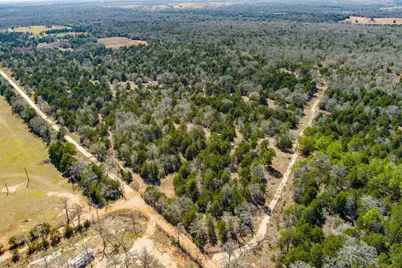 Tbd Edgewood Trail, Paige, TX 78659 - Photo 4