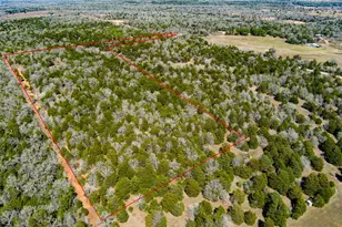 Tbd Edgewood Trail, Paige, TX 78659 - Photo 1