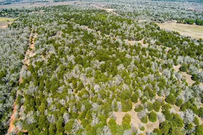 Tbd Edgewood Trail, Paige, TX 78659 - Photo 20