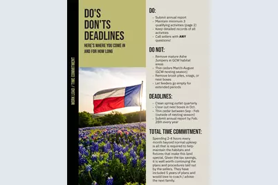 12901 Wire Road, Leander, TX 78641 - Photo 34