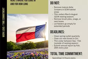 12901 Wire Rd, Leander, TX 78641 - Photo 34