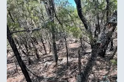 20610 Agarita Drive, Leander, TX 78645 - Photo 8