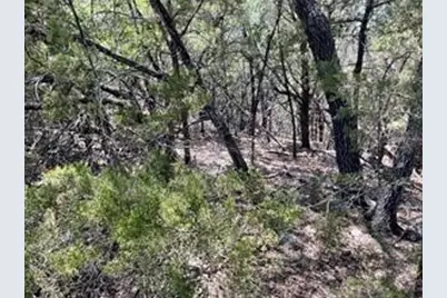 20610 Agarita Drive, Leander, TX 78645 - Photo 4