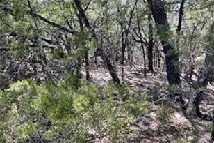 20610 Agarita Dr, Leander, TX 78645 - Photo 4