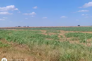 2016 Rolling Mdws Dr, Coupland, TX 78615 - Photo 1