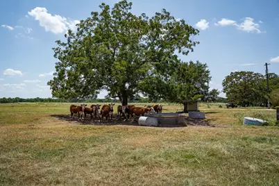 2210 Hermis Road, Schulenburg, TX 78956 - Photo 20