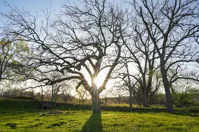 Tbd Lost Acres Loop, Blanco, TX 78606 - Photo 10