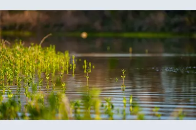 Tbd Lost Acres Loop, Blanco, TX 78606 - Photo 8