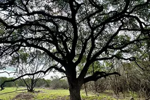 285 Donnie Dr, Lampasas, TX 76550 - Photo 14