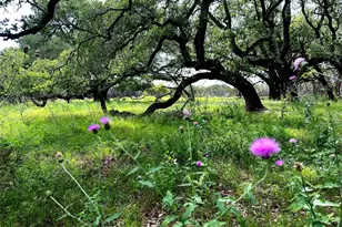 285 Donnie Dr, Lampasas, TX 76550 - Photo 12