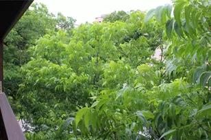 612 Park Pl, Austin, TX 78705 - Photo 18