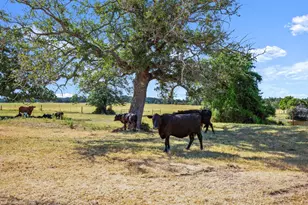 1099 Private Road 1061, Paige, TX 78659 - Photo 28