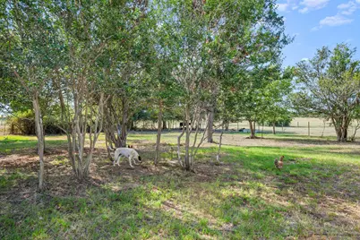 1099 Private Road 1061, Paige, TX 78659 - Photo 30