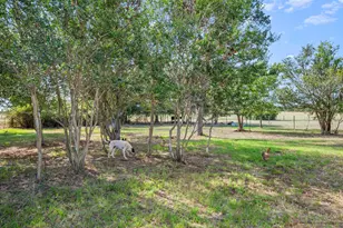 1099 Private Road 1061, Paige, TX 78659 - Photo 30