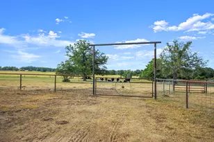 1099 Private Road 1061, Paige, TX 78659 - Photo 20
