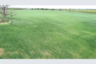 Tbd Fm 580 Road, Lampasas, TX 76550 - Photo 4