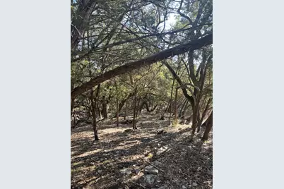 201 Assiniboia Drive, Canyon Lake, TX 78133 - Photo 6