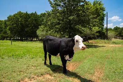 1922 E Sh 21, Paige, TX 78659 - Photo 32