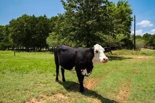 1922 E Sh 21, Paige, TX 78659 - Photo 32