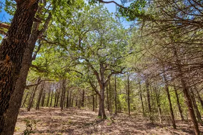 1922 E Sh 21, Paige, TX 78659 - Photo 34