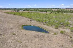 1167 Co Rd 427, Thrall, TX 76578 - Photo 38