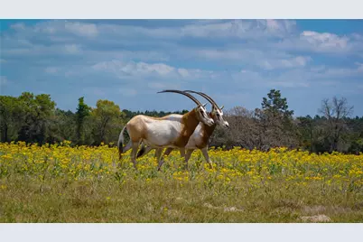 3860 Fm 2259, Nacogdoches, TX 75961 - Photo 2