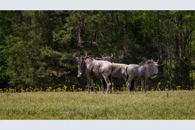 3860 Fm 2259, Nacogdoches, TX 75961 - Photo 38
