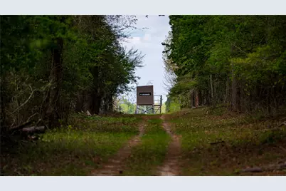 3860 Fm 2259, Nacogdoches, TX 75961 - Photo 34