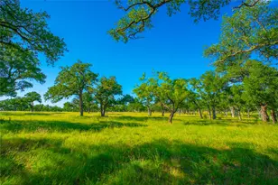 0 Rocky Creek Ranch, Johnson City, TX 78636 - Photo 1