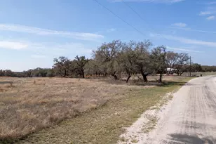 100 S Waterbuck Wy, Lampasas, TX 76550 - Photo 4
