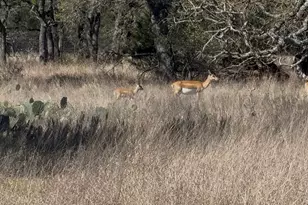 100 S Waterbuck Wy, Lampasas, TX 76550 - Photo 16