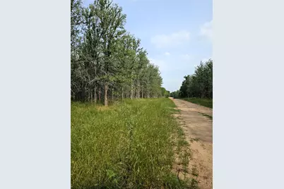 288 Kahana Lane, Bastrop, TX 78602 - Photo 2