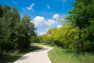 708 Kinvara Cv, Cedar Park, TX 78613 - Photo 10