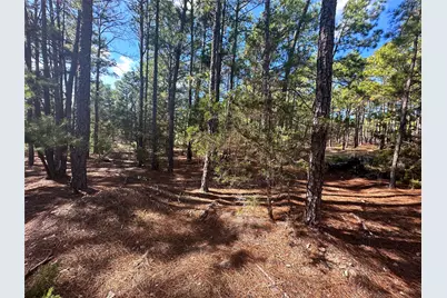 Lot 11 Hickory Ridge Drive, Bastrop, TX 78602 - Photo 1