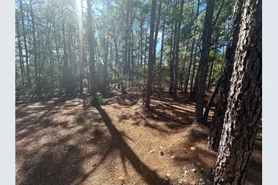 Lot 11 Hickory Ridge Drive, Bastrop, TX 78602 - Photo 2