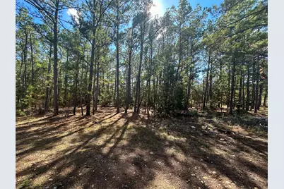 Lot 11 Hickory Ridge Drive, Bastrop, TX 78602 - Photo 4