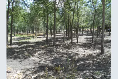 8001 Burleson Manor Road, Manor, TX 78653 - Photo 22