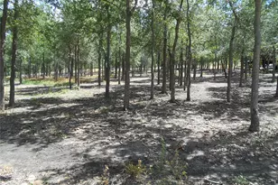 8001 Burleson Manor Rd, Manor, TX 78653 - Photo 22