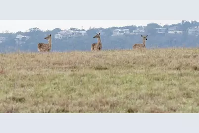 4 Creek Hollow Way, Spicewood, TX 78669 - Photo 16