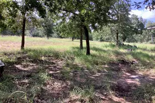 910 Antioch Rd, Paige, TX 78659 - Photo 20