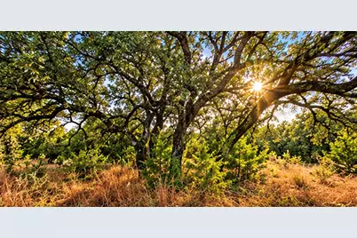 208 Viento Cove, Blanco, TX 78606 - Photo 12
