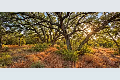 208 Viento Cove, Blanco, TX 78606 - Photo 8
