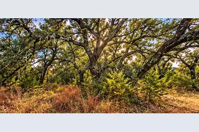 208 Viento Cove, Blanco, TX 78606 - Photo 18
